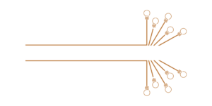Hardwired Electric